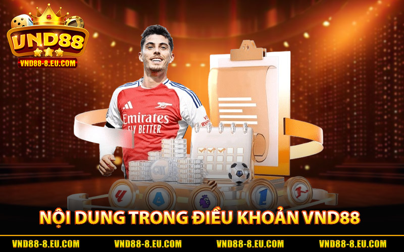 Những nội dung quan trọng trong điều khoản VND88