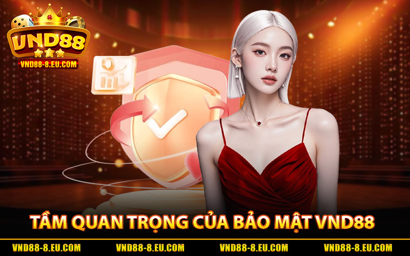 Tầm quan trọng của hệ thống bảo mật VND88