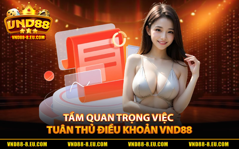 Tầm quan trọng của việc tuân thủ điều khoản VND88