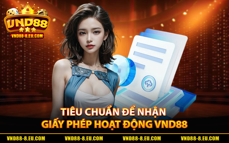 Tiêu chuẩn để được nhận giấy phép hoạt động VND88